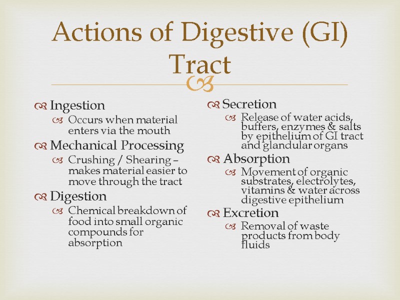 Actions of Digestive (GI) Tract Ingestion Occurs when material enters via the mouth Mechanical